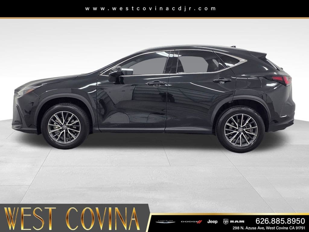 2024 Lexus NX 350 Base thumbnail 4