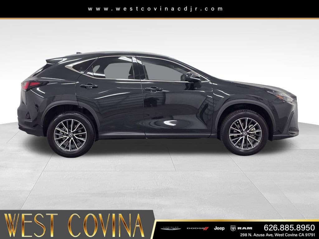 2024 Lexus NX 350 Base thumbnail 8